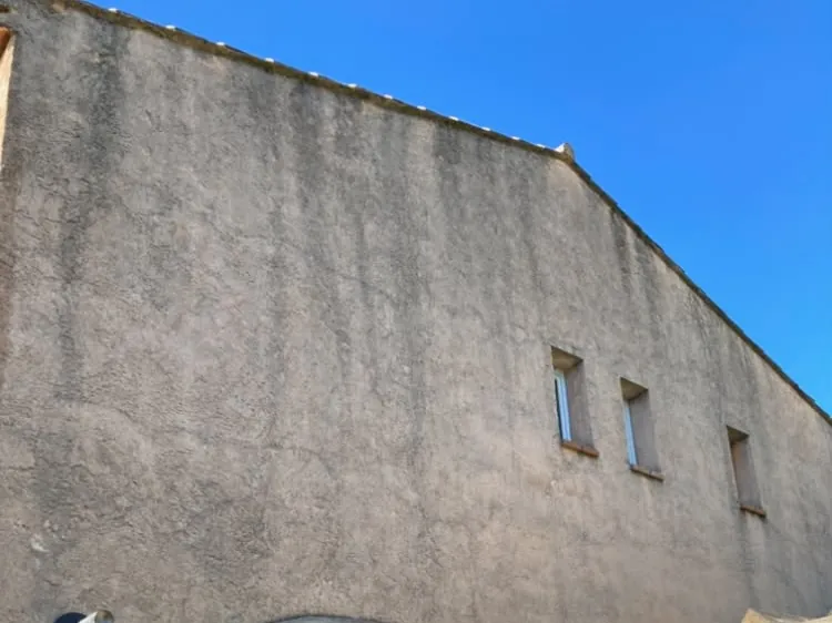 Pignon de maison noirci par les mousses et les salissures avant nettoyage
