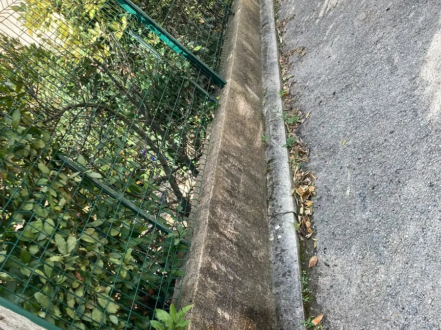 Mur de clôture en crépi noirci par les mousses avant nettoyage
